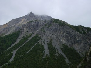 DSC00014